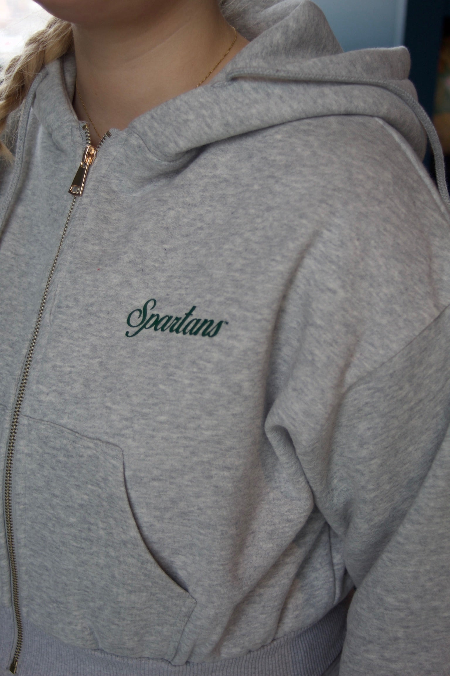 Michigan State Crop Full Zip