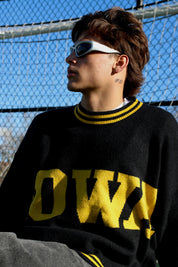 Iowa Library Sweater