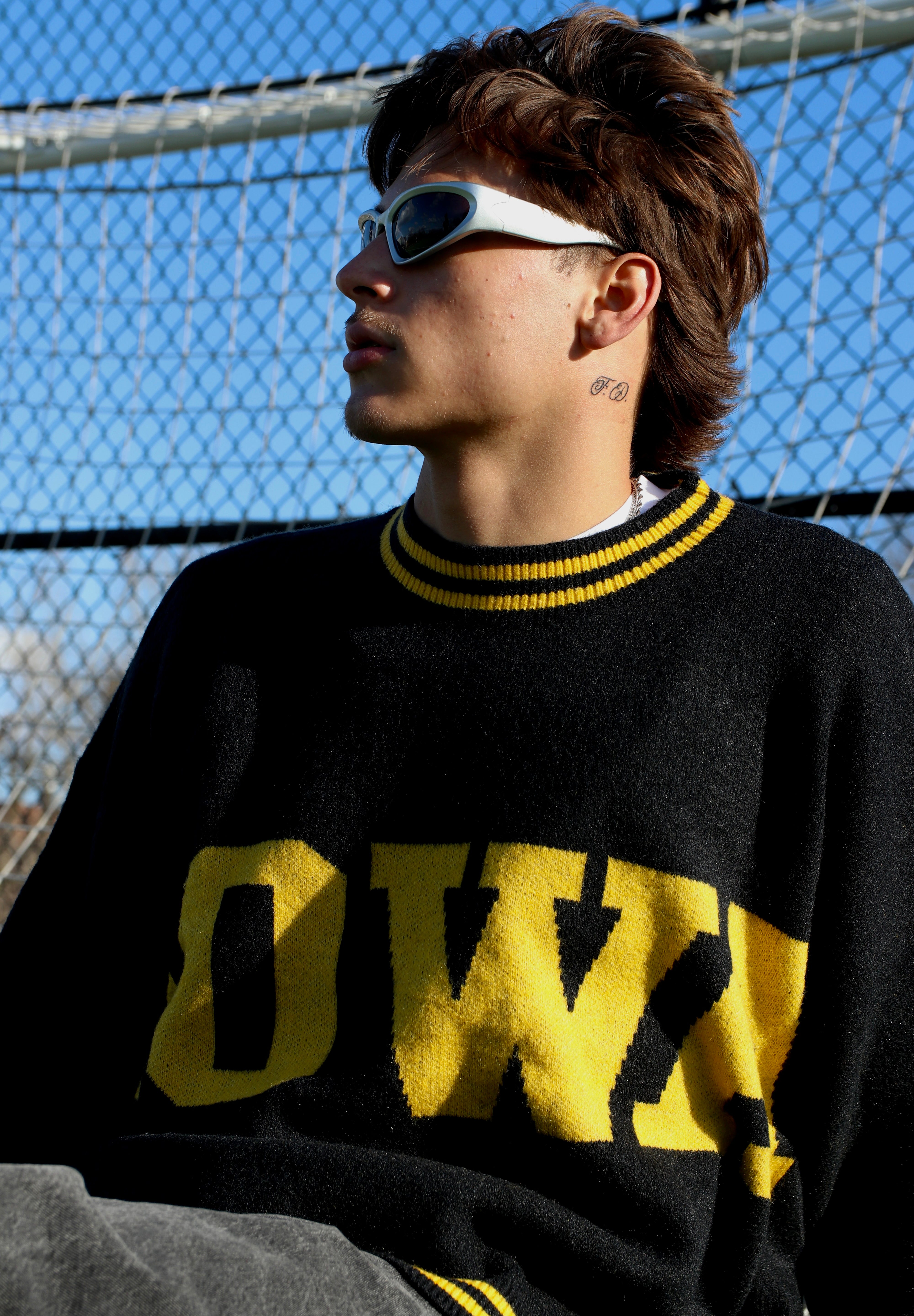 Iowa Library Sweater