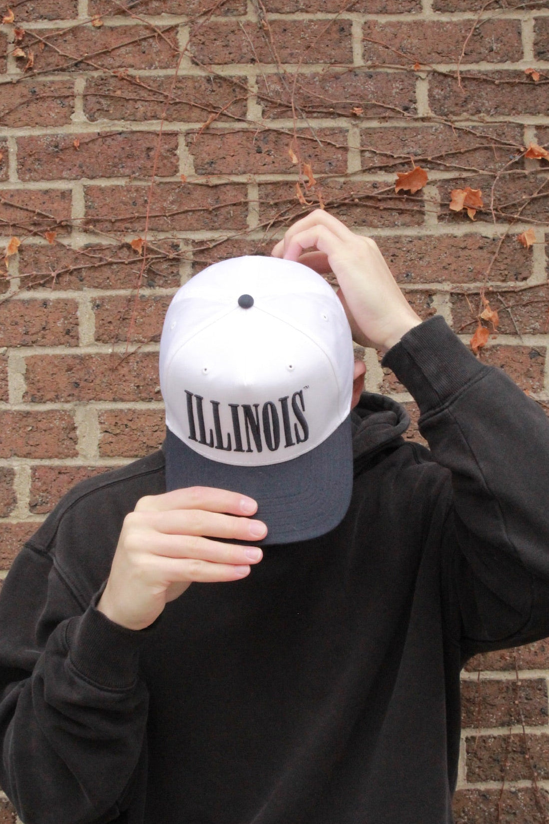 Illinois Stretch Cap