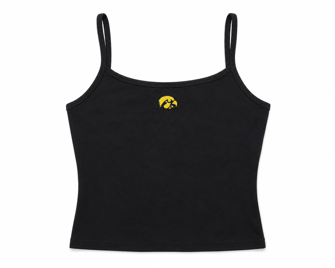 Iowa Stadium Tank