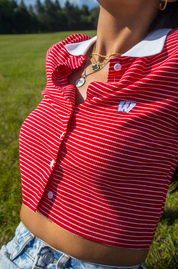 Wisconsin Striped Collared Button Down - Recess Apparel LLC