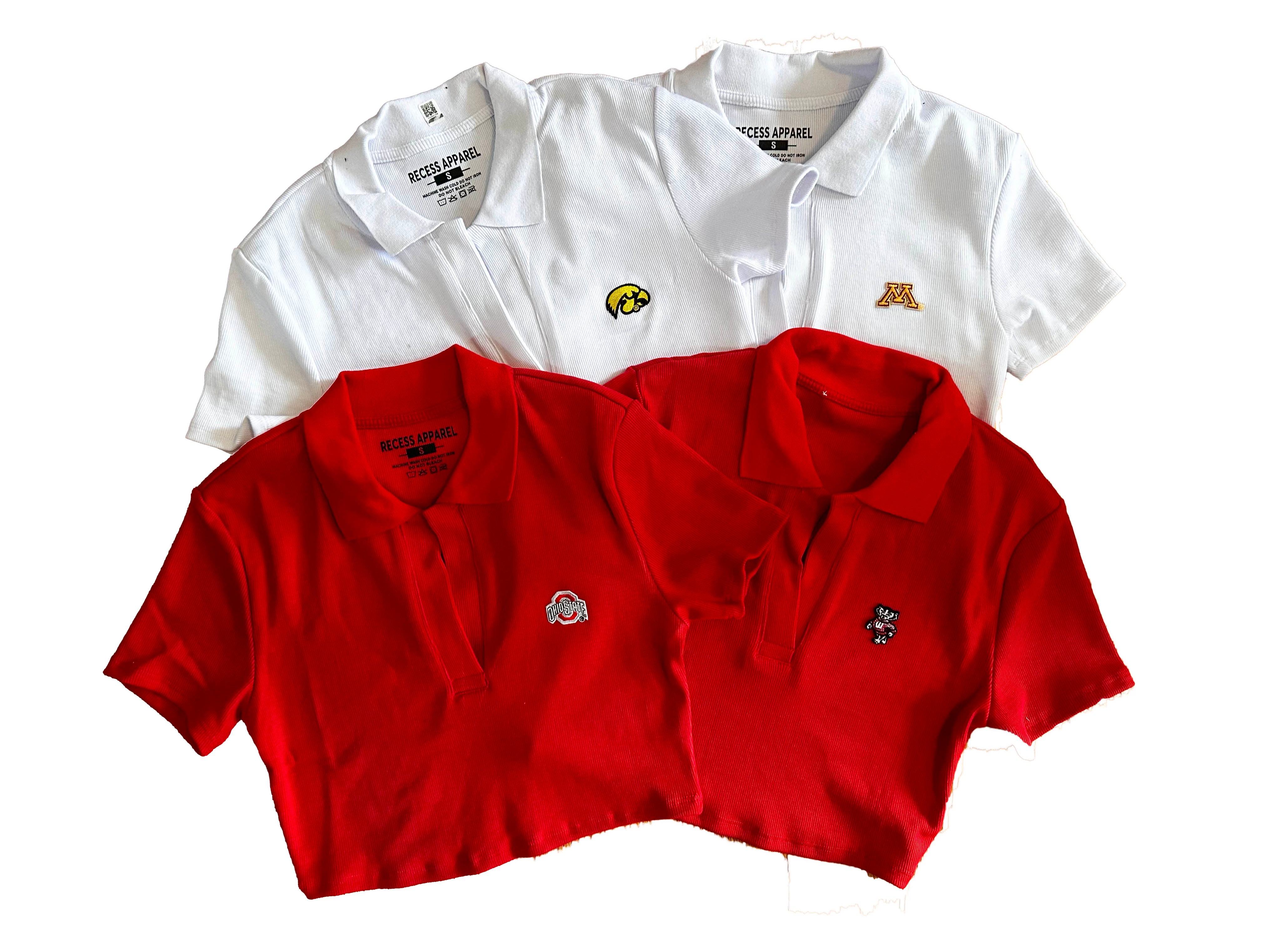 Wisconsin Academic Polo