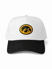 Herky Chenille Two Tone Cap