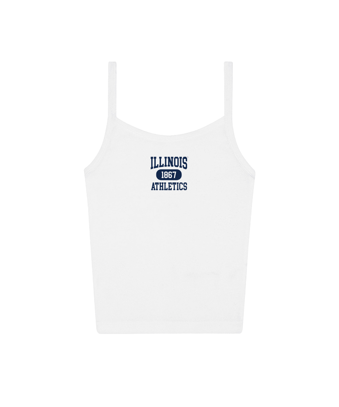 illinois_1867_everyday.png