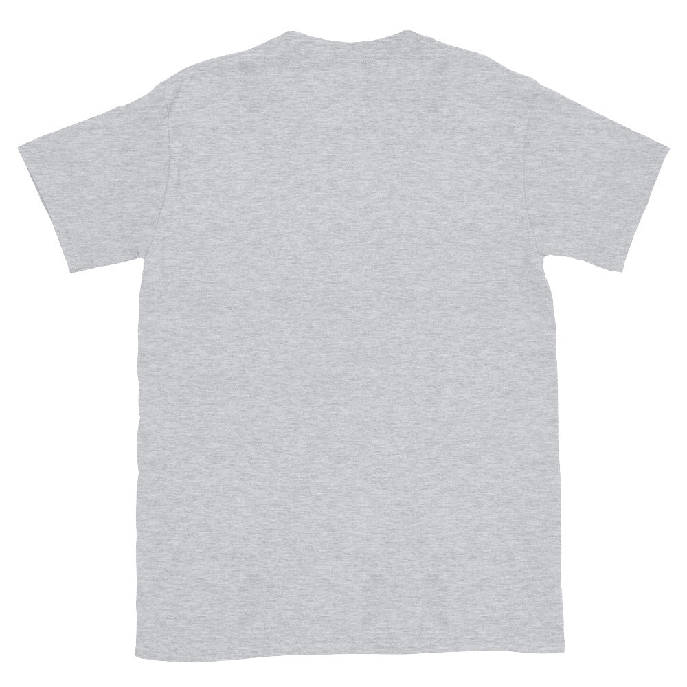 unisex-basic-softstyle-t-shirt-sport-grey-back-67057f1a1d885.jpg