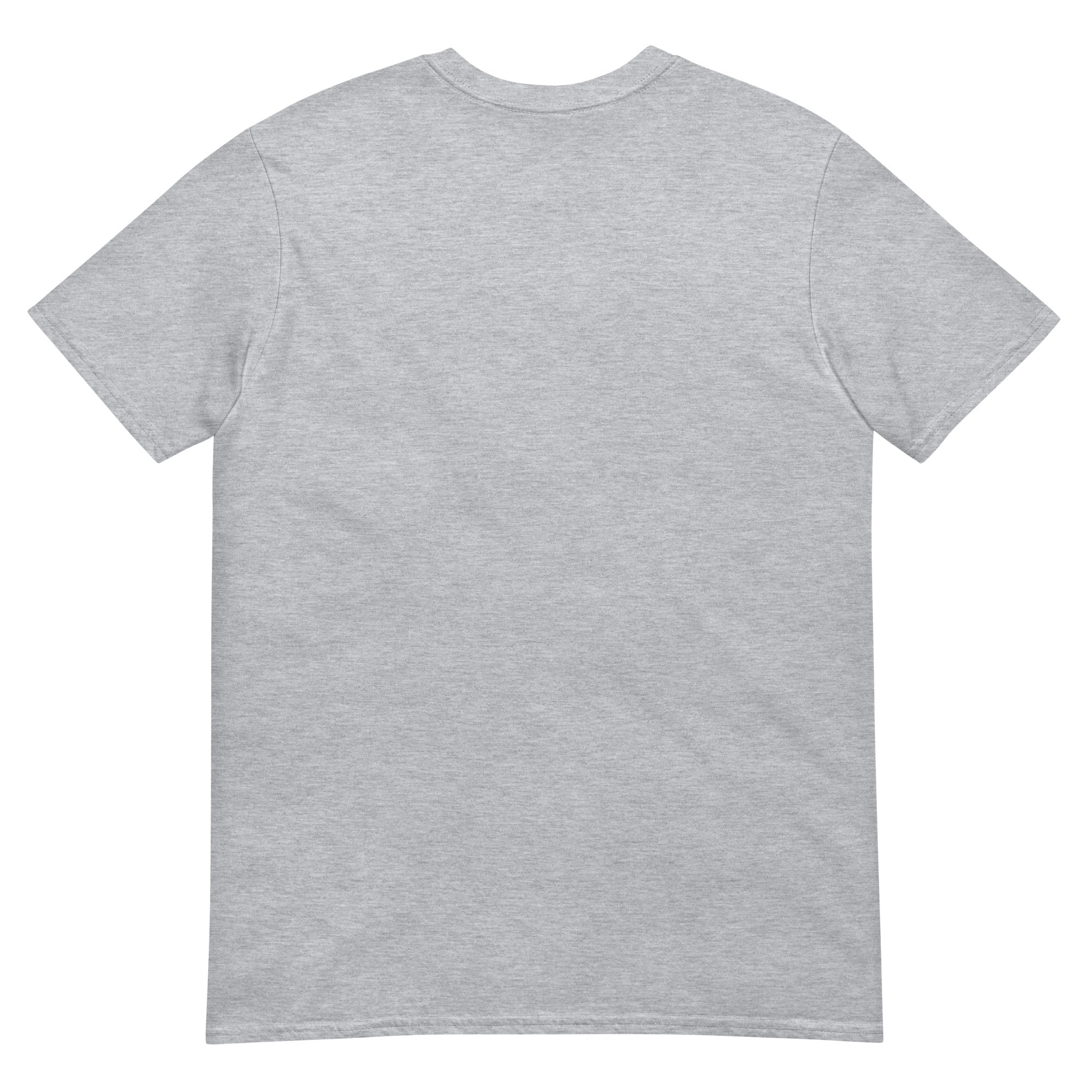 unisex-basic-softstyle-t-shirt-sport-grey-back-6705807456cc9.jpg